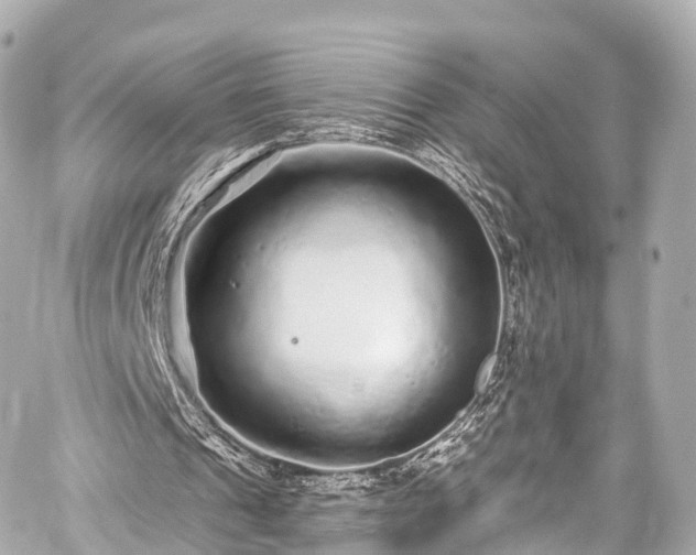 X0000059100241200510101225