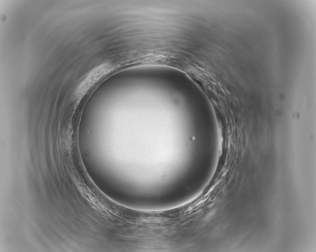 X0000059100242200510101225