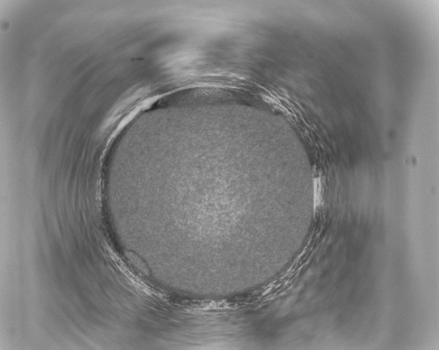 X0000059100243200510101225