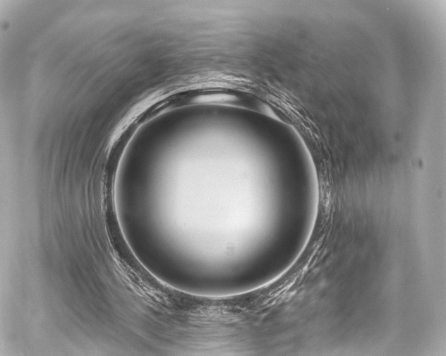 X0000059100244200510101225