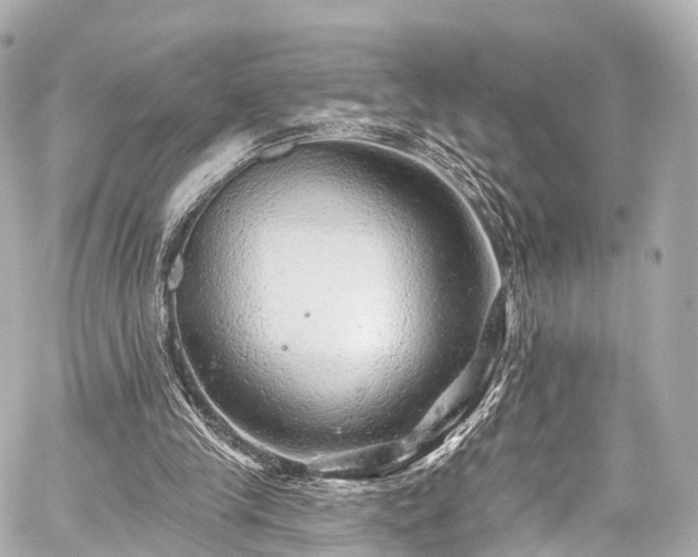 X0000059100245200510101226