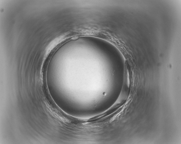 X0000059100246200510101226