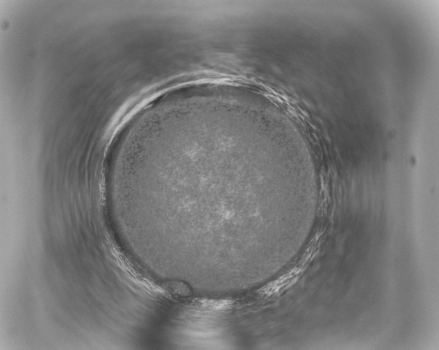 X0000059100247200510101226