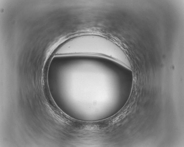 X0000059100248200510101226