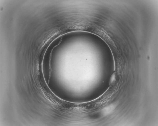 X0000059100251200510101226