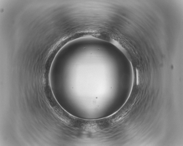 X0000059100252200510101226