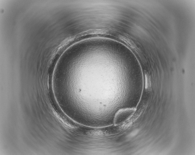 X0000059100253200510101226