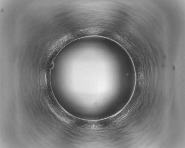 X0000059100254200510101226