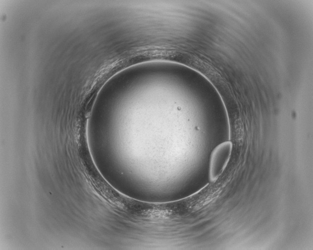 X0000059100255200510101226