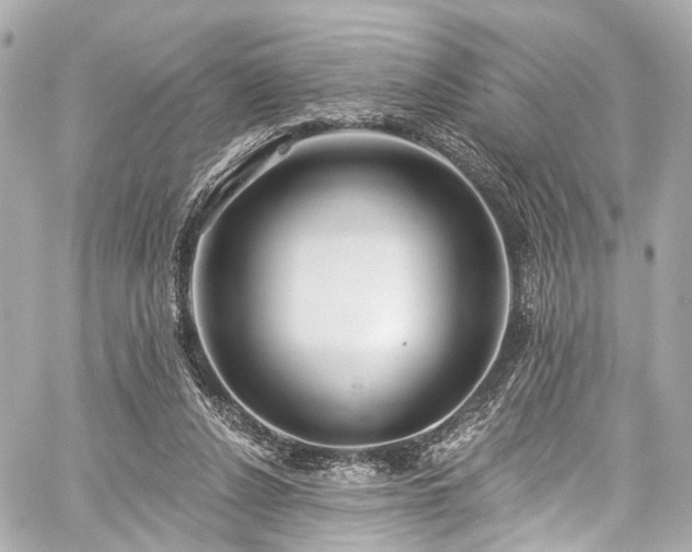 X0000059100256200510101226