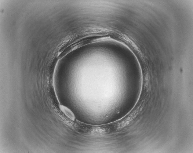 X0000059100257200510101226