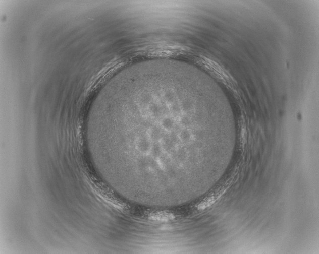 X0000059100258200510101226