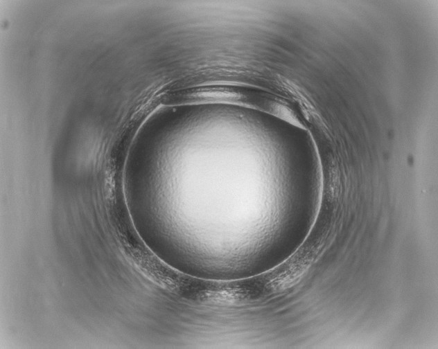 X0000059100259200510101226