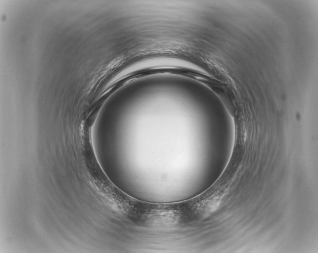 X0000059100260200510101226