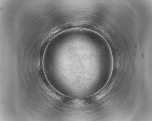 X0000059100261200510101226