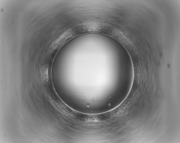 X0000059100262200510101226