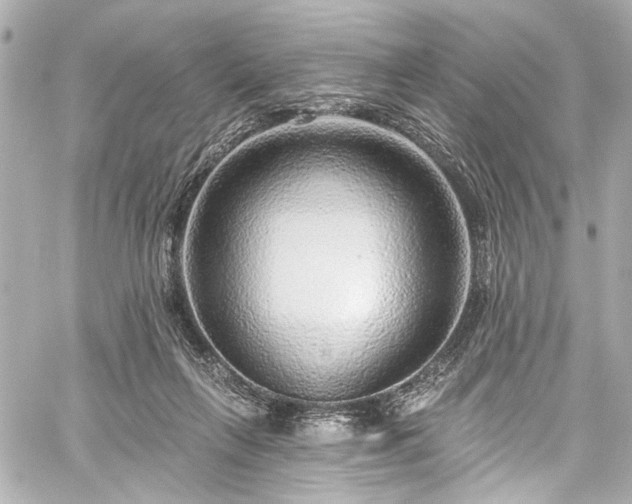 X0000059100263200510101226