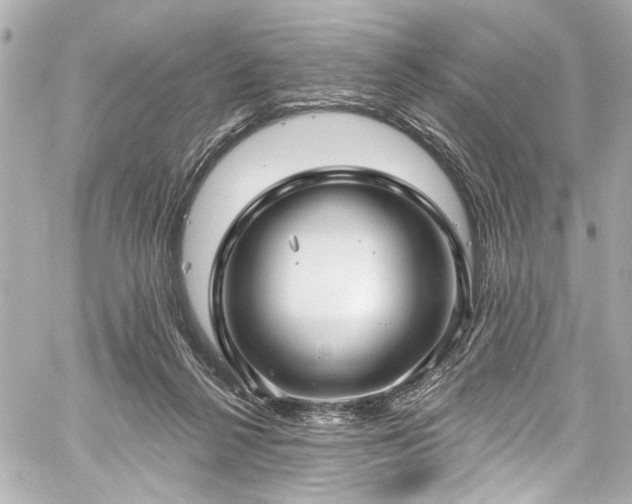 X0000059100264200510101226