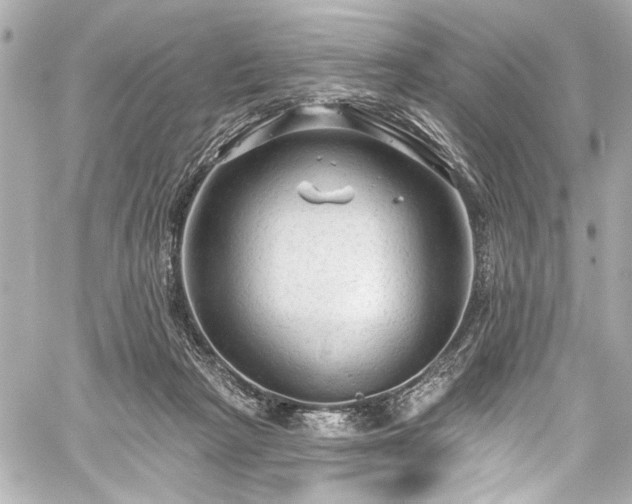 X0000059100265200510101226