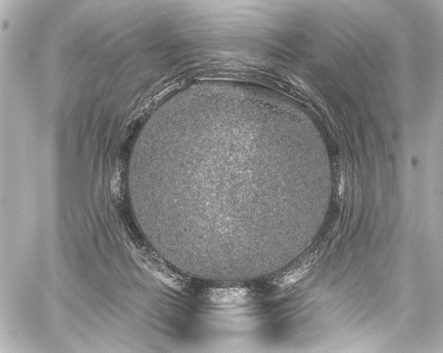 X0000059100266200510101226