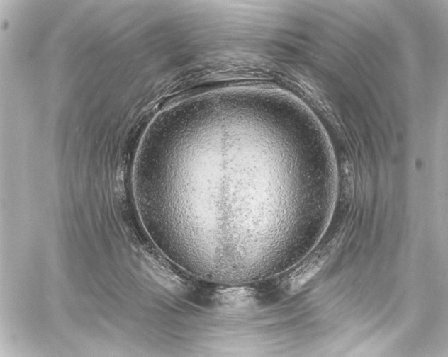 X0000059100269200510101226