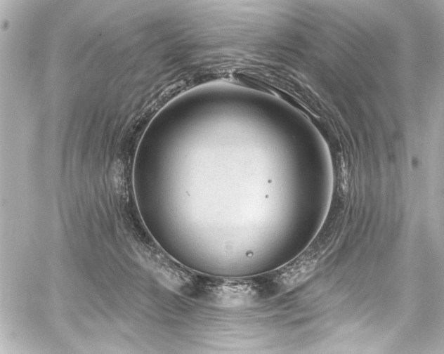 X0000059100270200510101226