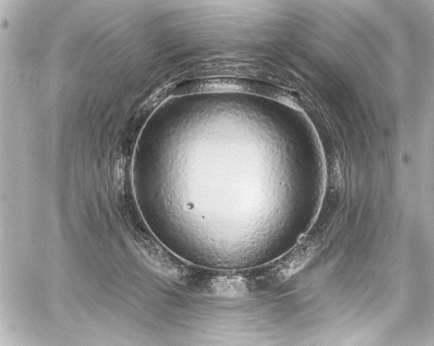 X0000059100271200510101226