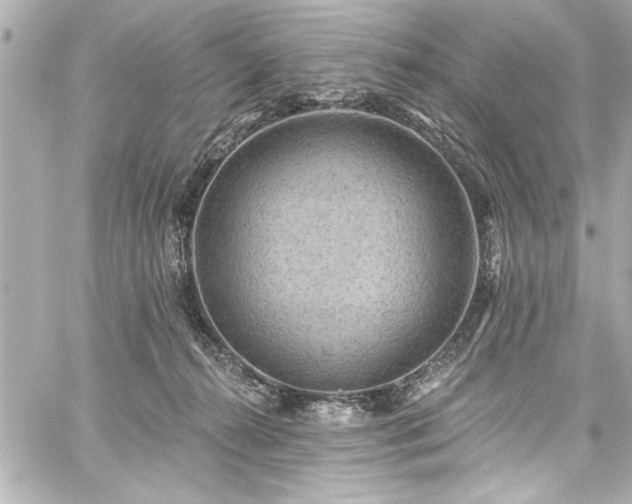 X0000059100272200510101226