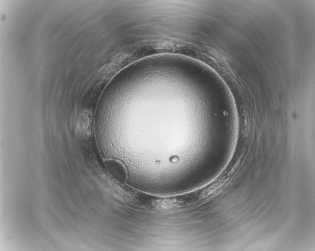 X0000059100273200510101226