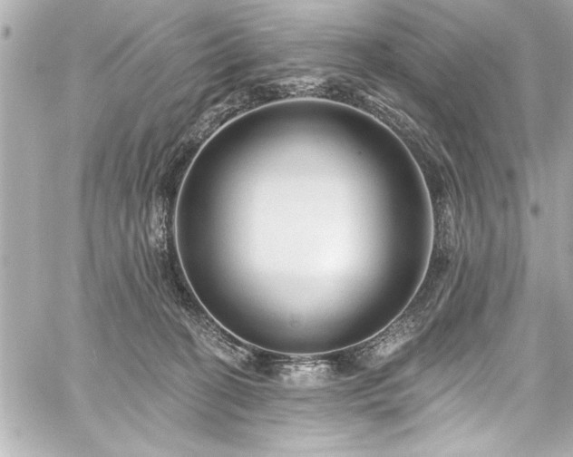 X0000059100274200510101226