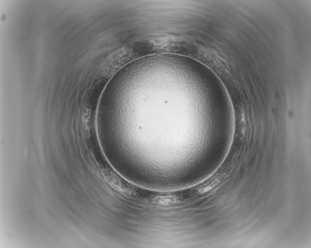 X0000059100275200510101226