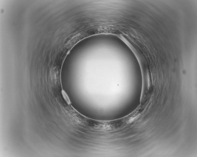 X0000059100276200510101226