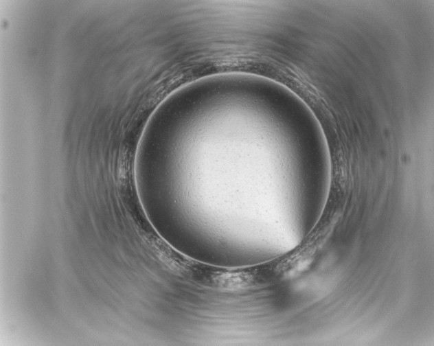 X0000059100277200510101226