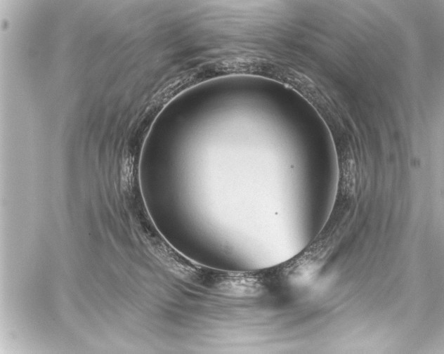 X0000059100278200510101226