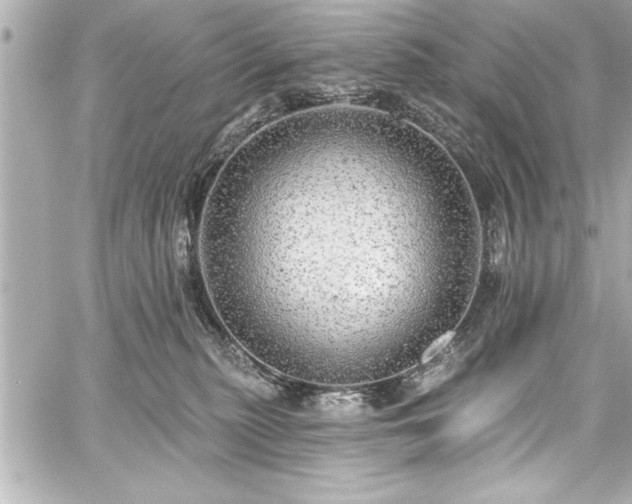 X0000059100279200510101226