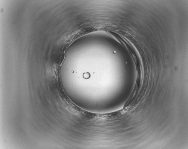 X0000059100280200510101226