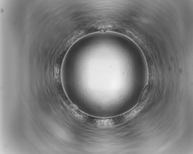 X0000059100281200510101226