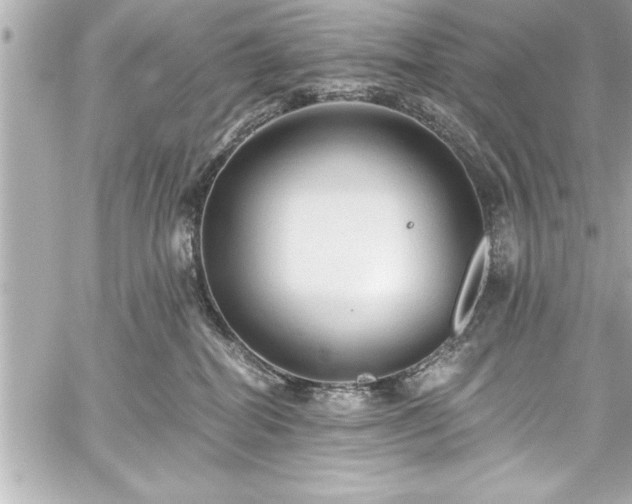 X0000059100282200510101226