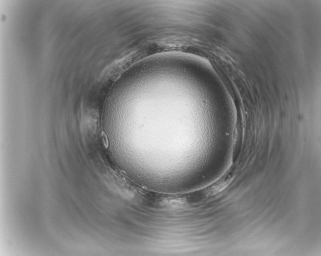 X0000059100283200510101226