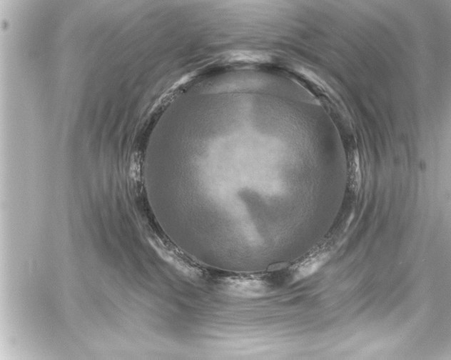 X0000059100284200510101226