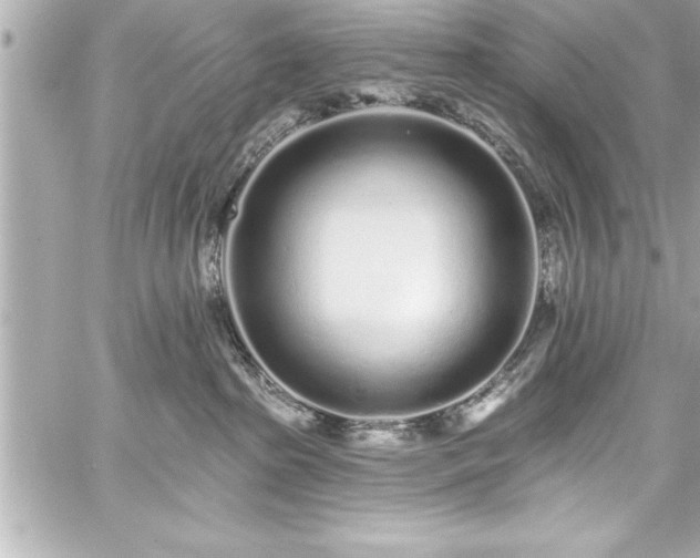 X0000059100285200510101226