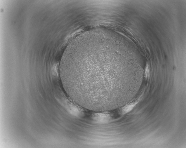 X0000059100286200510101226