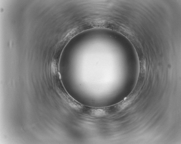 X0000059100287200510101226