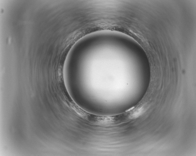 X0000059100288200510101226