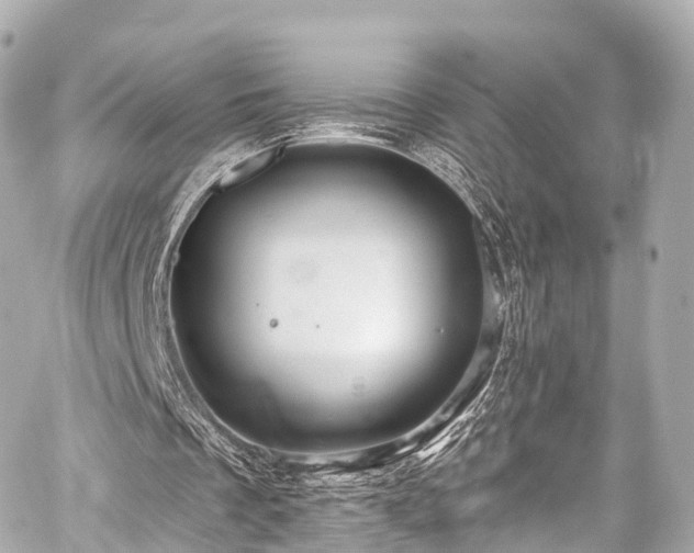 X0000059100289200510101225