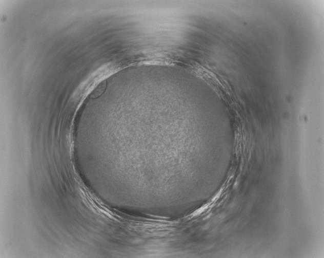 X0000059100290200510101225