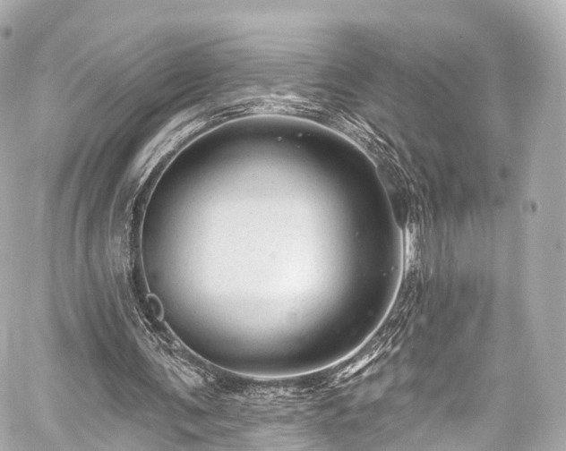 X0000059100291200510101225