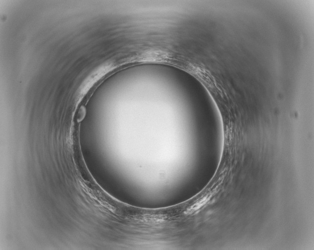 X0000059100292200510101225