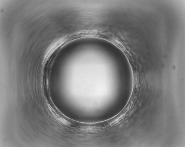 X0000059100293200510101225