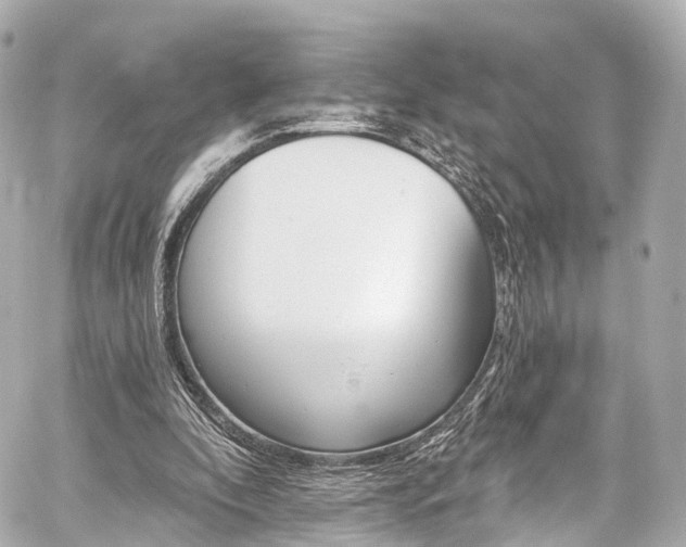 X0000059100296200510101225